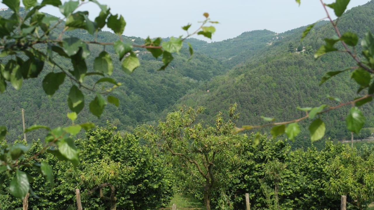 보시아 Cit Ni B&B 외부 사진